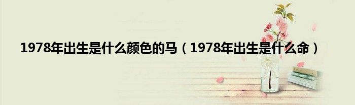 1975年属兔女2024年全年运势及每月运势详解