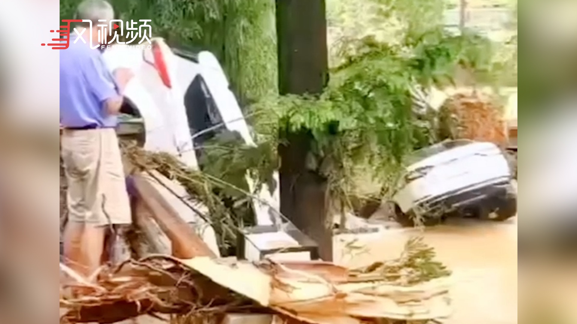 百年一遇77年属蛇人迎来巅峰时刻