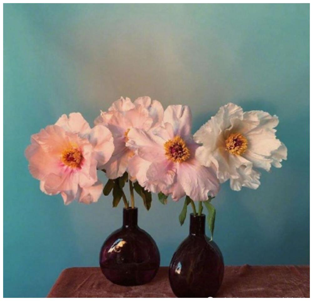 1970年属狗人2024年每月运势详解