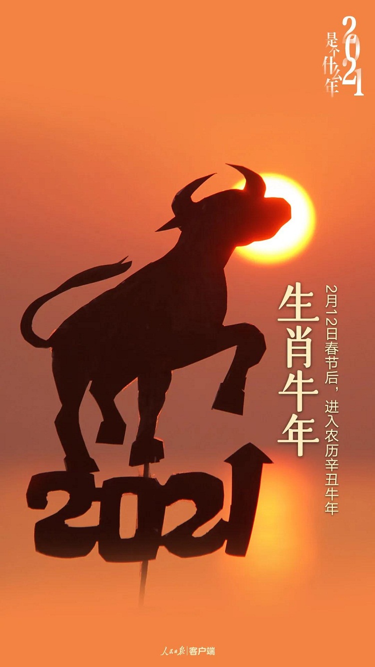 2021年出生属相是多大