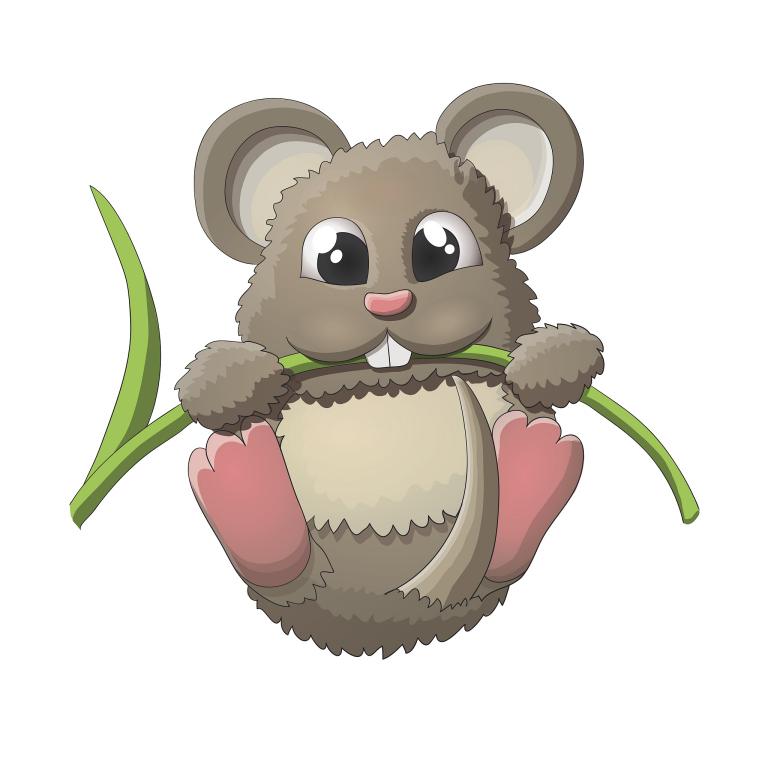 1972年属鼠是什么命