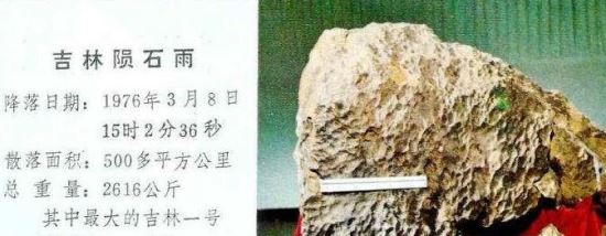 1976年5月17日出生的龙人运势