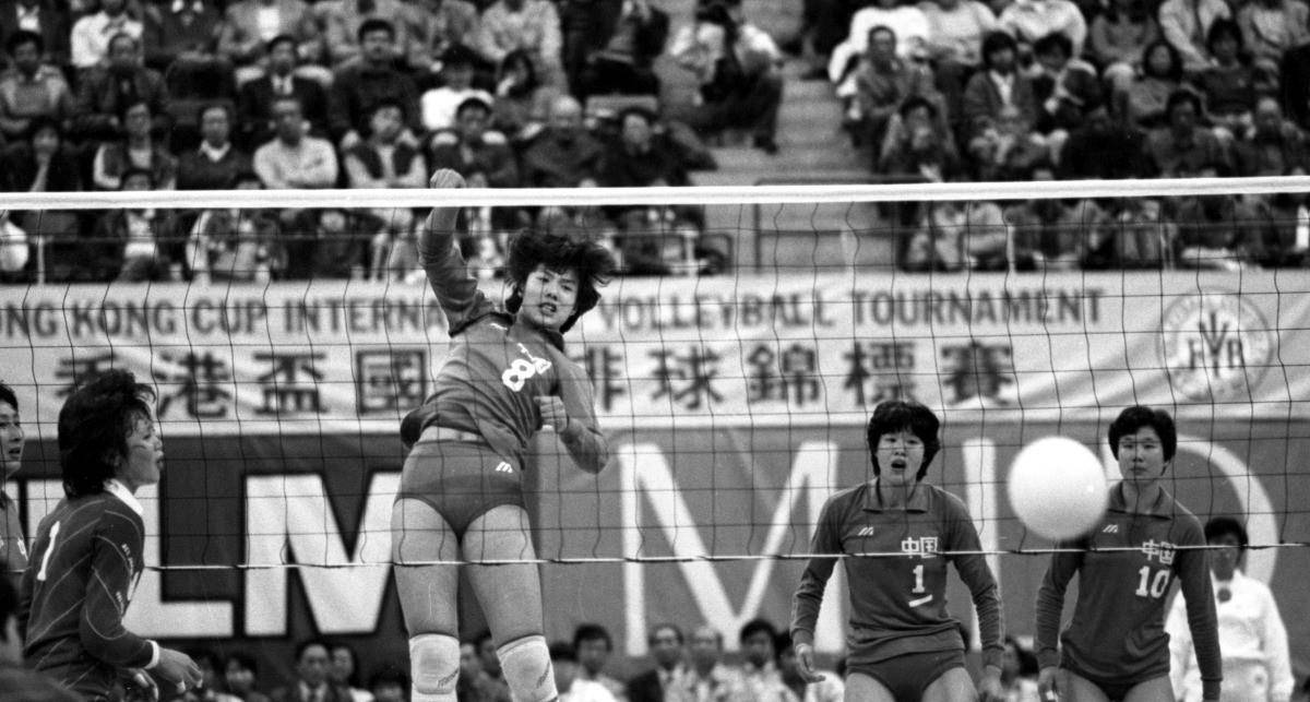 1981年九月鸡的命运怎么样