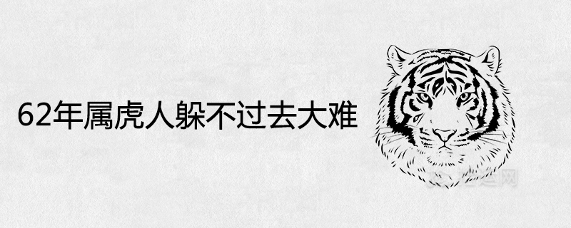 62年生肖是什么