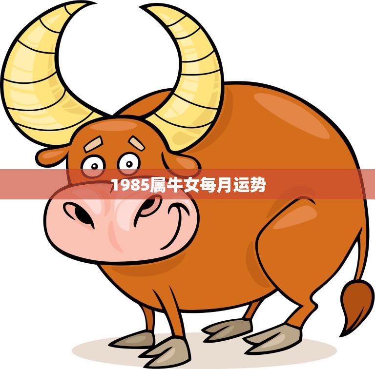 属牛1985是什么命