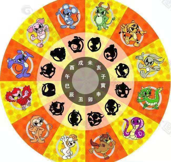 十二生肖女谁最厉害