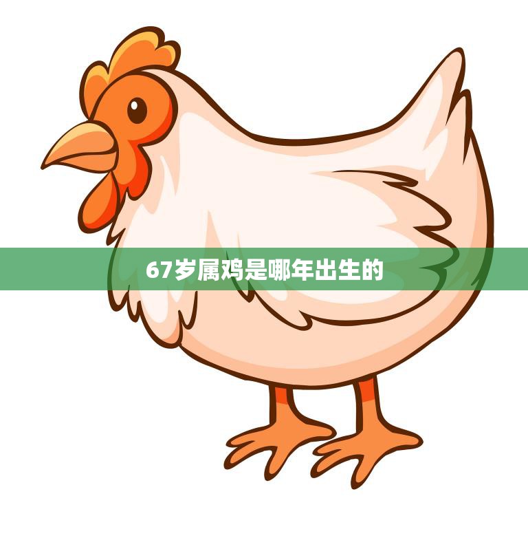 我是属鸡的