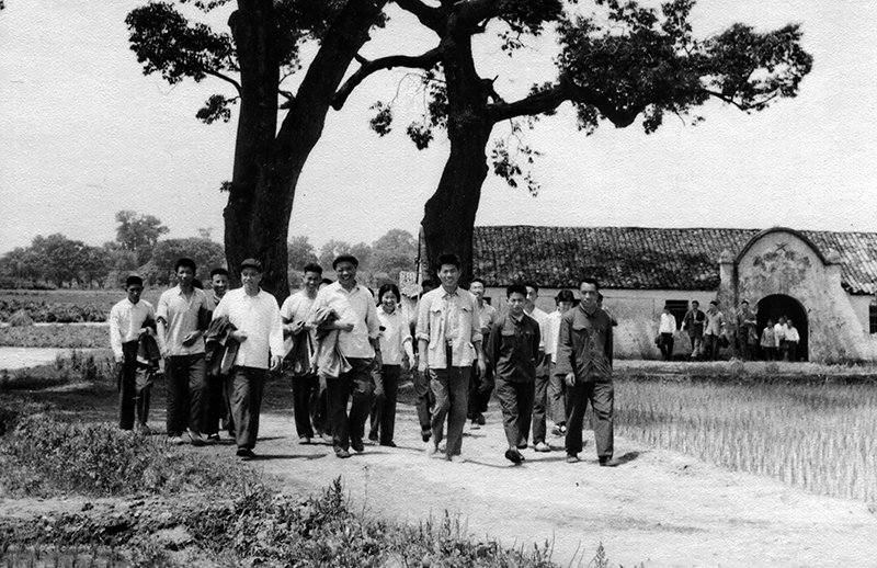 1974年农历12月21日属虎的人五行属什么