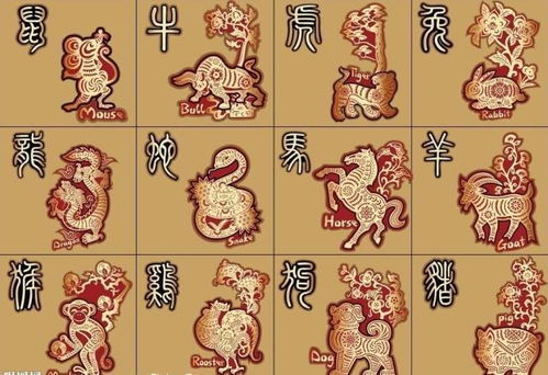 十二生肖女哪个对性最开放