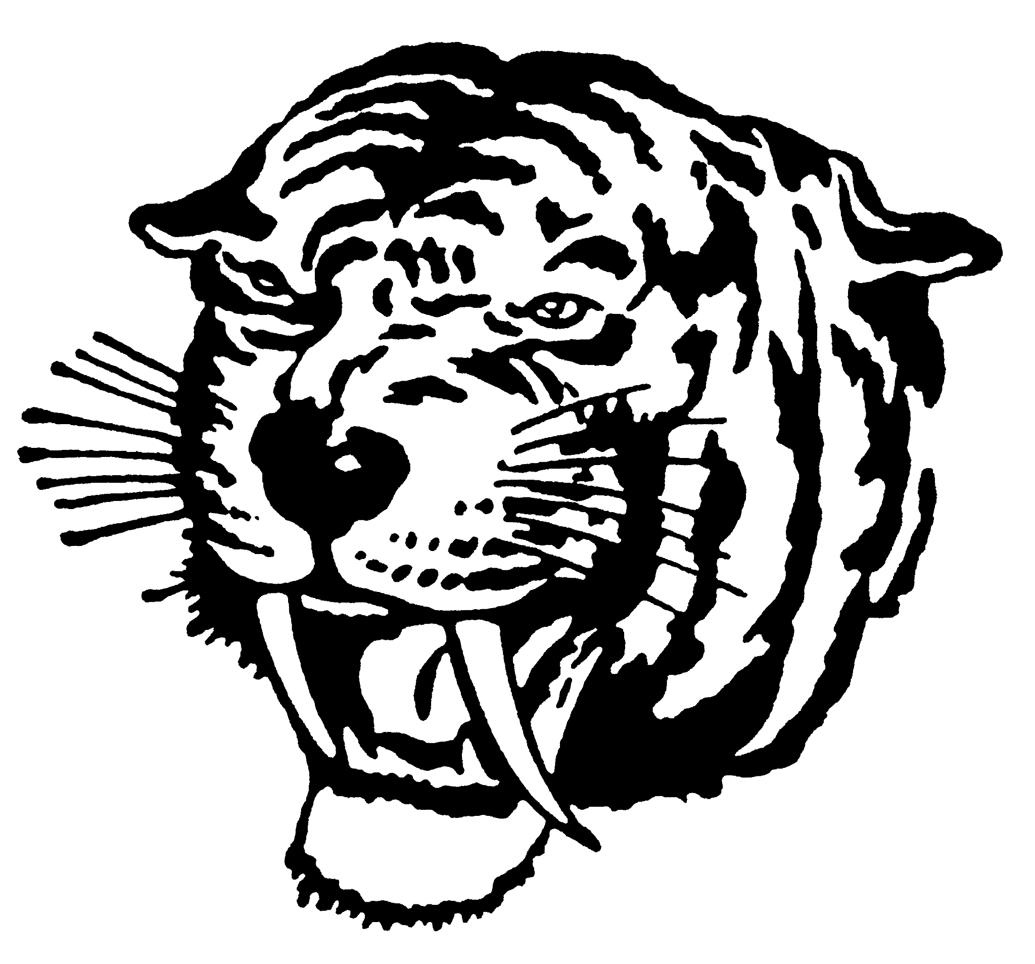 1986年虎2024年运势完整版