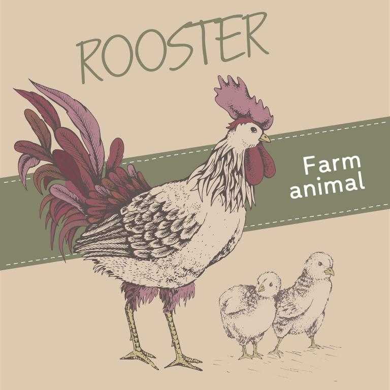 1993年属鸡女2025年运势