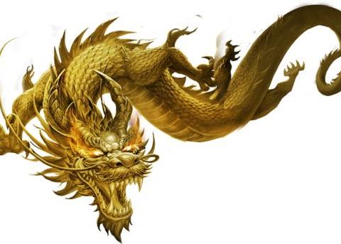 属龙的往年多大了2024年几岁